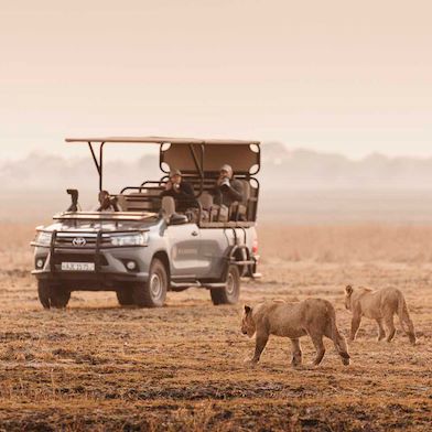 Wilderness game drive vehicle spots 3 lions at Busanga