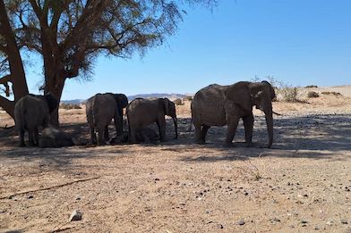 kunene tours and safaris