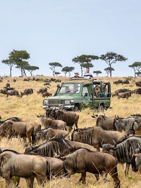 Kenya Safari | Kenya Safari Holidays | Wilderness