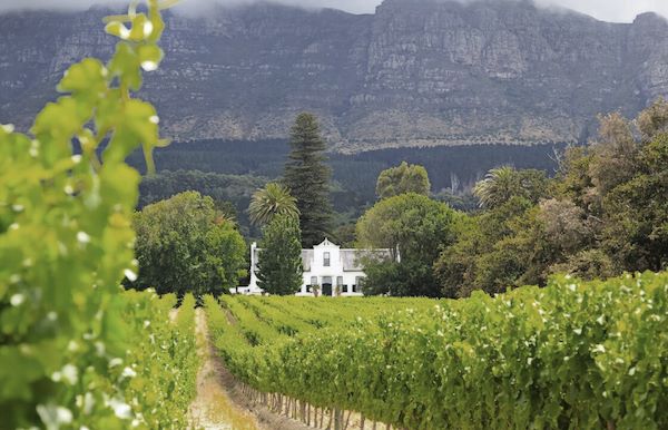 Wine Lands Cape Town Wilderness Touring