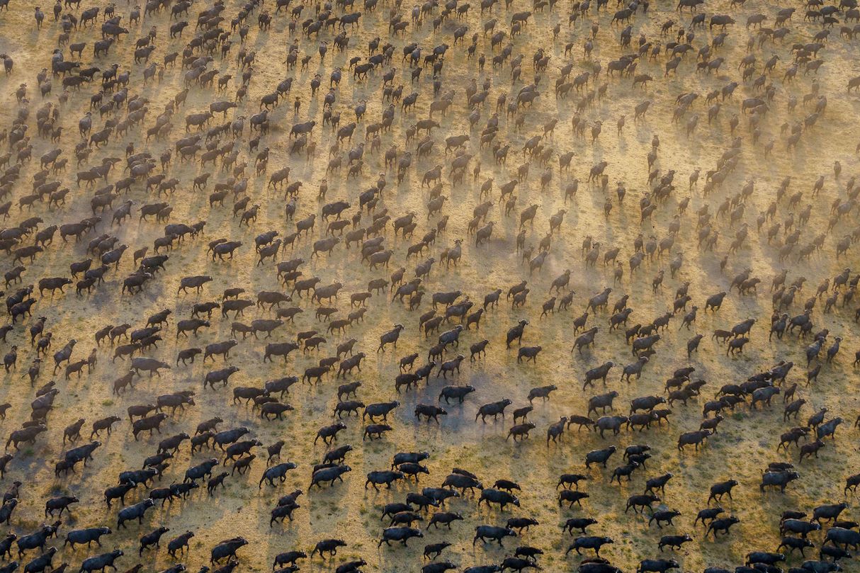 Mababe | Botswana Safari | Wilderness