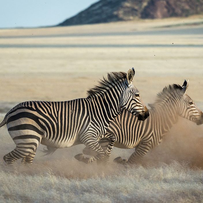 Serra Cafema | Kunene, Namibia | Wilderness