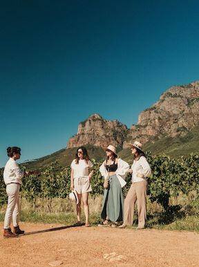 Cape Town Wine Lands Tour Wilderness Touring