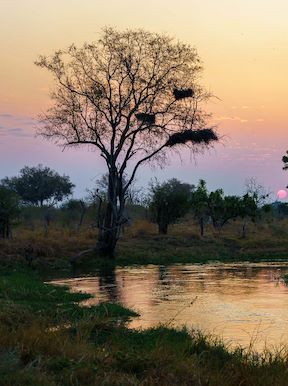 Mababe | Botswana Safari | Wilderness