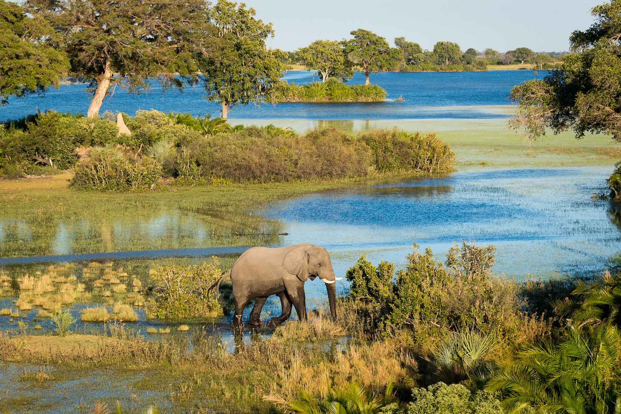 Wilderness Jacana Botswana Area