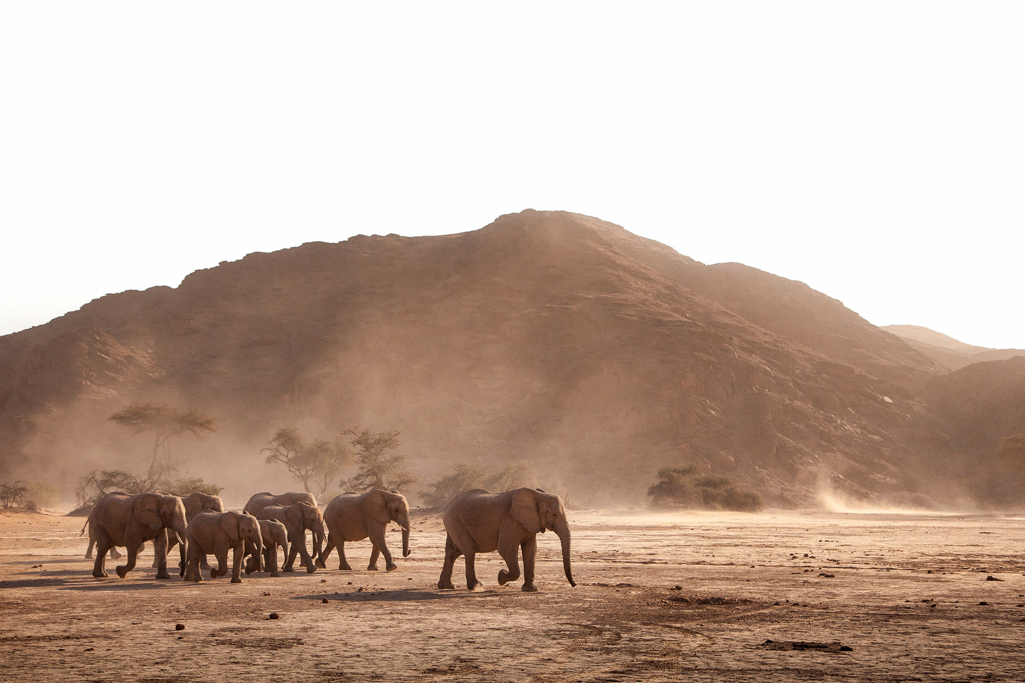 Hoanib Skeleton Coast Camp | Namibia Safari | Wilderness