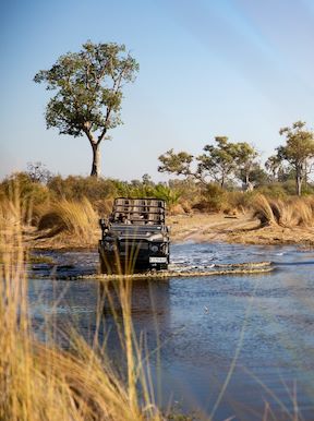 Wilderness Jacana Botswana Activities Game Drive
