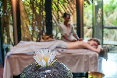 Wilderness Wellness Spa And Massage Treatments