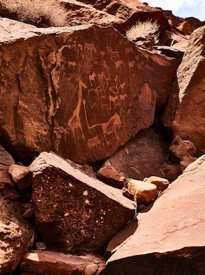 Wilderness Damaraland Camp Wildlife Namibia Activities Twyfelfontein