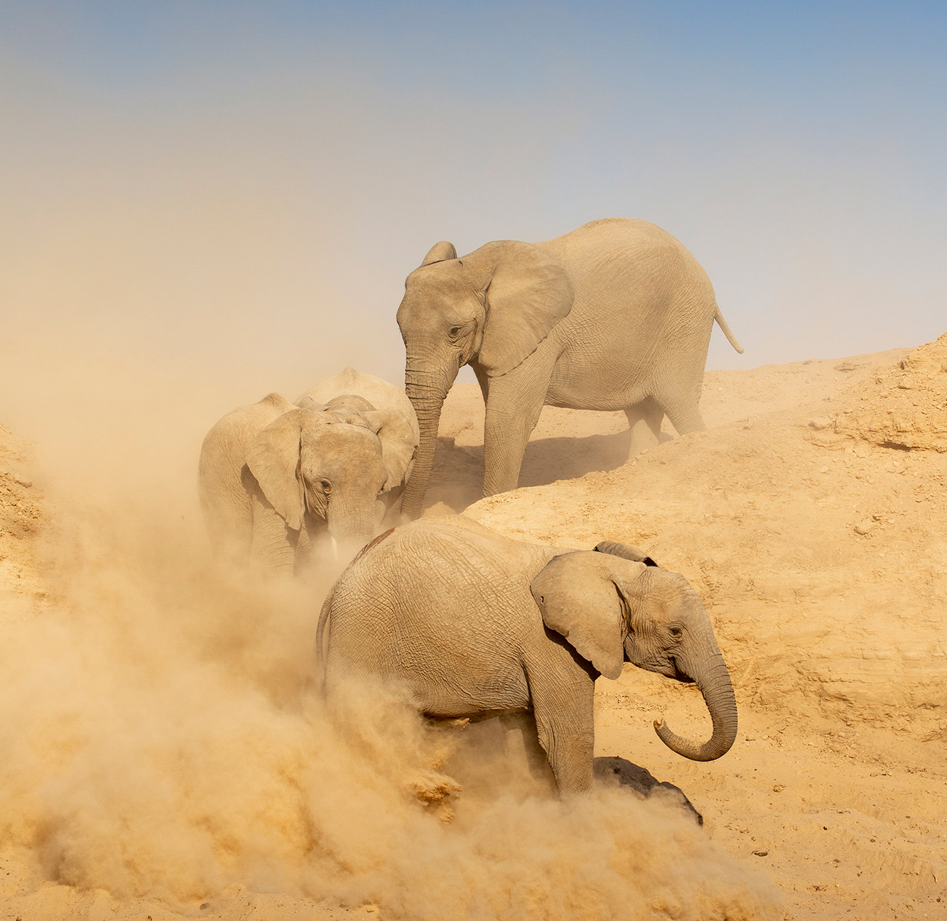 Hoanib Skeleton Coast Camp | Namibia Safari | Wilderness