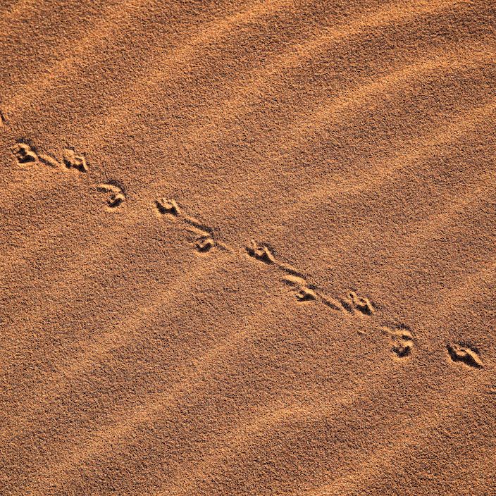 Kulala Desert Lodge | Sossusvlei Safaris | Wilderness