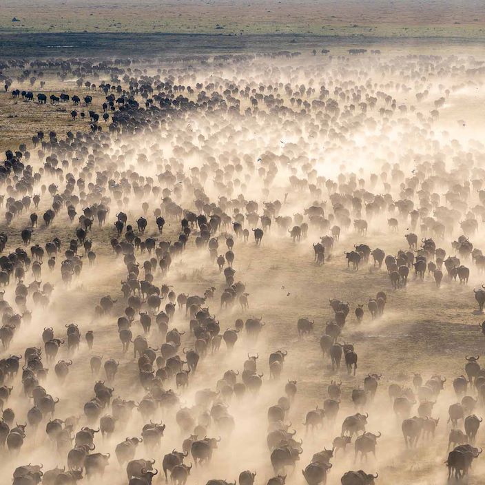 Mokete Camp, Botswana | Wilderness